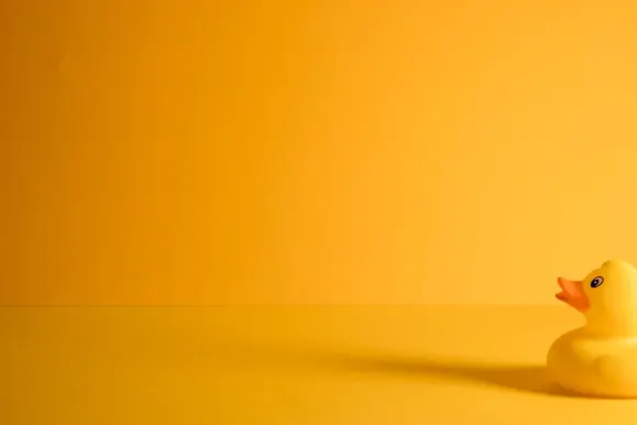 B Kaszinó Támogatás